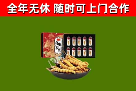 琼中市回收冬虫夏草价格